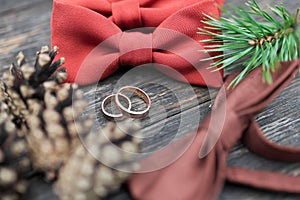 Wedding rings on the groom tie