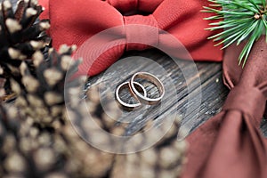 Wedding rings on the groom tie