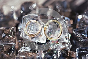 Wedding rings in ice cubes
