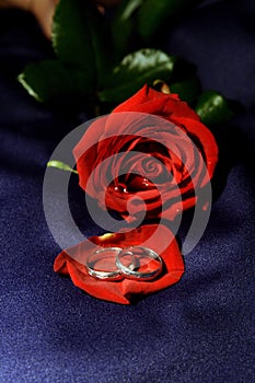 Wedding rings II photo