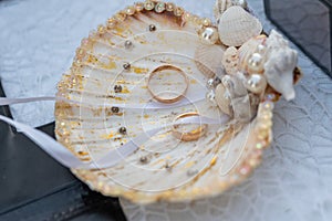 Wedding rings inside a shell