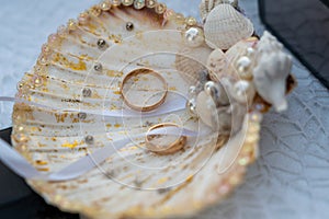 Wedding rings inside a shell