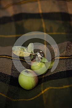 Wedding rings lie on two green apples