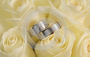 wedding rings on a light yellow roses