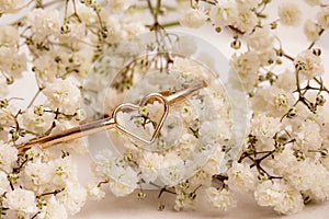 Wedding rings - love story