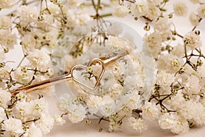 Wedding rings - love story photo