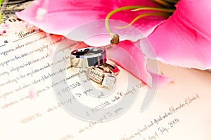 Wedding Rings on Marriage License