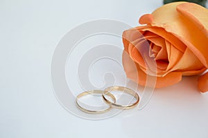 Wedding rings with orange rose, on white background