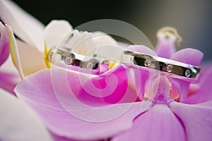 Wedding rings with orchid photo