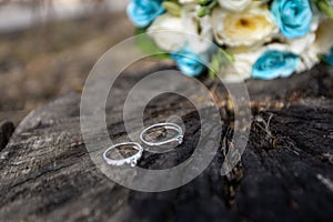 Wedding Rings Outdoors on the Tree Background
