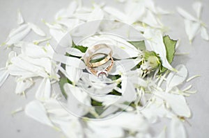 wedding rings over white flowers