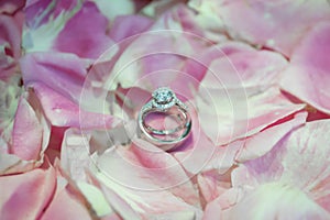 Wedding rings with petal pink rose flower. - (Selective focus)