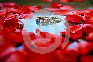 Wedding rings with petal rose flower. - (Selective focus)