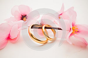 Wedding rings and pink flowers