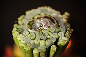 Wedding rings on plant stems