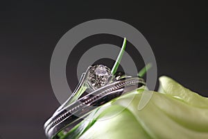 Wedding rings posing on flowers on a black background