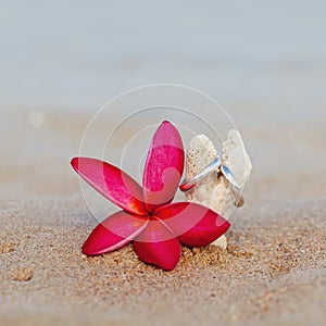 Wedding rings put on the beach