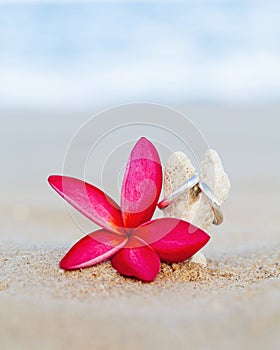 Wedding rings put on the beach