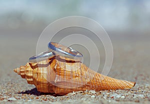 Wedding rings put on the beach