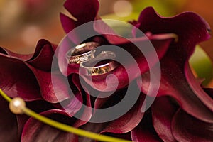 Wedding rings on red callas background