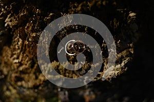 Wedding rings with red gold photo