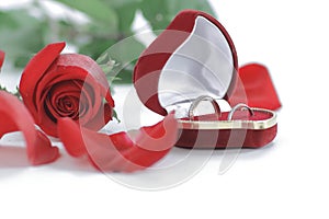 Wedding rings and red rose on white background