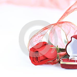 Wedding rings and red rose on white background.photo with copy s