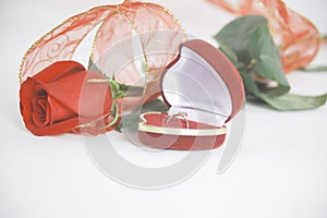 Wedding rings and red rose on white background.photo with copy s