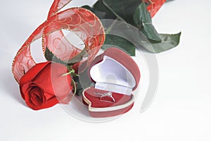 Wedding rings and red rose on white background.photo with copy space