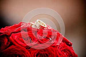 Wedding rings and red roses