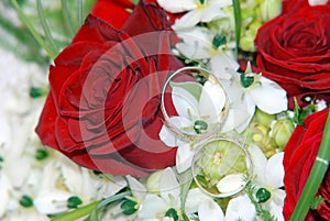 Wedding rings on red roses