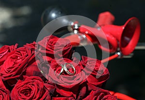 Red roses and an old red bicycle horn decorate the wedding rings photo