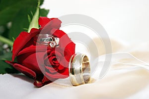 Wedding rings in a rose photo