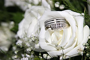 Wedding rings in a rose photo