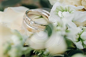 wedding rings with rose flowers  selective focus