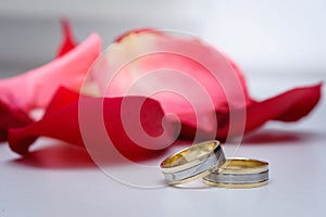 Wedding rings with rose petals background