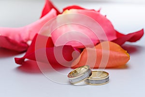 Wedding rings with rose petals background