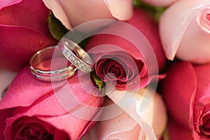 Wedding Rings in Roses