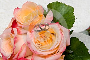 Wedding rings and roses photo