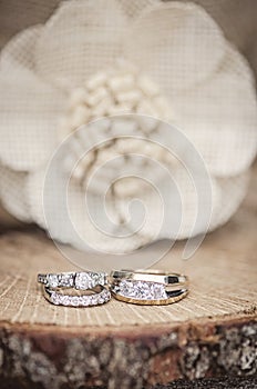 Wedding rings rustic setting