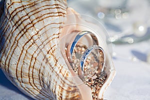 Wedding rings in the seashells for marine ceremony