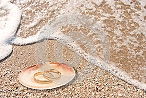 Wedding rings in a shell