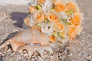 Wedding rings in a shell on the beach