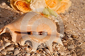 Wedding rings in a shell on the beach