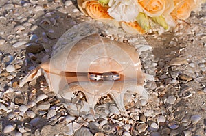 Wedding rings in a shell on the beach