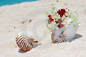 Wedding rings on a shell on beach