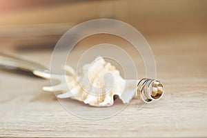 Wedding rings, shell and decoration
