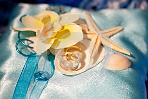 Wedding rings on the shells and starfish