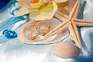 Wedding rings on the shells and starfish