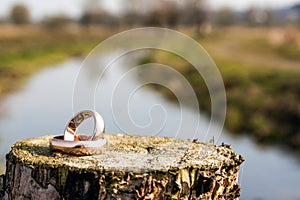 Wedding rings photo